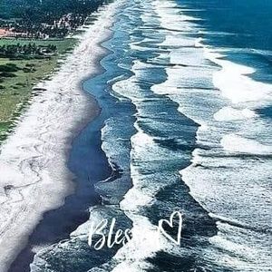 Meet your Posher, Ruth violeta